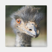 Ostrich Magnet (Vorne)