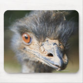 Ostrich Mousepad (Vorne)