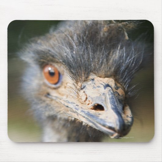 Ostrich Mousepad (Vorne)