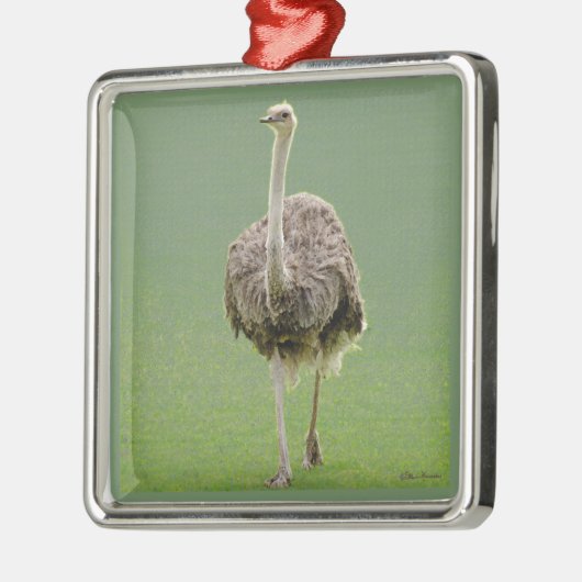 Ostrich Ornament Aus Metall (Links)