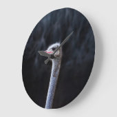 ostrich portrait    große wanduhr (Winkel)