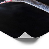 ostrich portrait poster (Ecke)