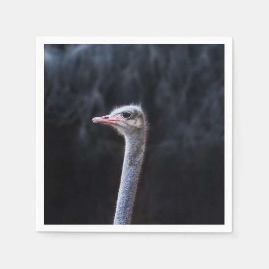 ostrich portrait   serviette (Vorderseite)