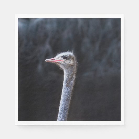 ostrich portrait serviette (Vorderseite)