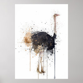 Ostrich Poster