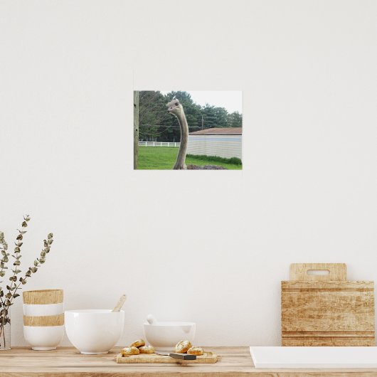 Ostrich Poster (Küche)