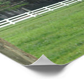 Ostrich Poster (Ecke)