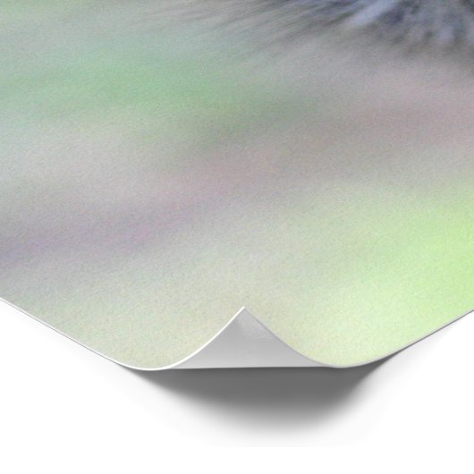 Ostrich Poster (Ecke)