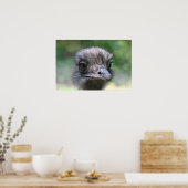 Ostrich Poster (Küche)
