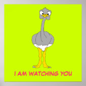 Ostrich Poster (Vorne)
