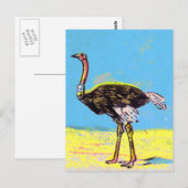 Ostrich Postkarte (Vorne/Hinten)