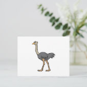 Ostrich Postkarte (Stehend Vorderseite)