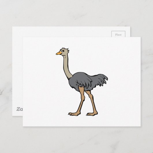Ostrich Postkarte (Vorne/Hinten)