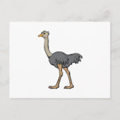 Ostrich Postkarte (Vorderseite)
