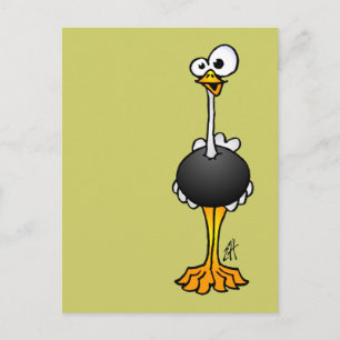 Ostrich Postkarte