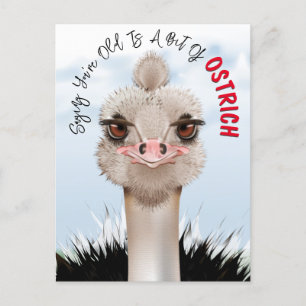 Ostrich Pun Funny Birthday Postkarte