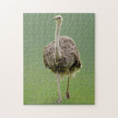 Ostrich Puzzle (Vertikal)