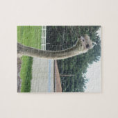 Ostrich Puzzle (Horizontal)