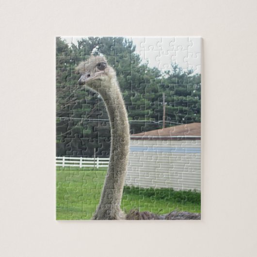 Ostrich Puzzle (Vertikal)