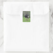 Ostrich Runder Aufkleber (Tasche)