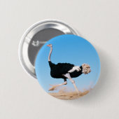 Ostrich Running Button (Vorne & Hinten)