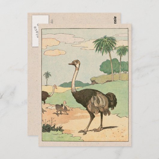 Ostrich Storybook Zeichnend Postkarte (Vorne/Hinten)