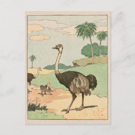 Ostrich Storybook Zeichnend Postkarte