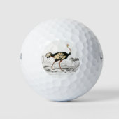 Ostrich Struthio Leuchtlose Illustration Golfball (Vorderseite)