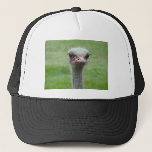 Ostrich Truckerkappe (Vorderseite)