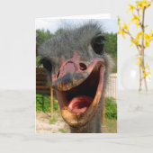 Ostrich What's Up Card Karte (Gelbe Blume)