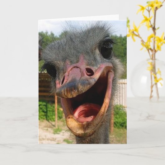 Ostrich What's Up Card Karte (Gelbe Blume)