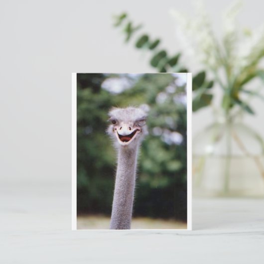Ostrich Winking - Funny Postkarte (Stehend Vorderseite)