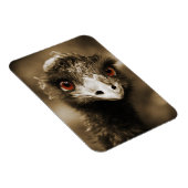 Ostriche Look Magnet (Rechte Seite)