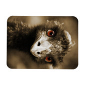 Ostriche Look Magnet (Horizontal)