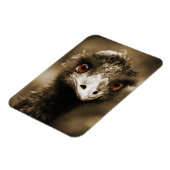 Ostriche Look Magnet (Linke Seite)