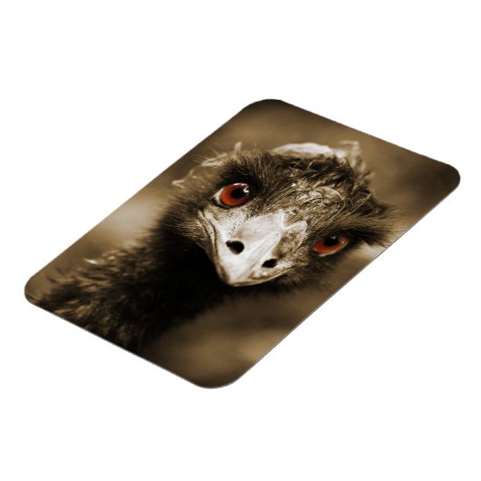 Ostriche Look Magnet (Linke Seite)
