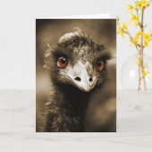 Ostriches Look Grußkarte Karte (Gelbe Blume)