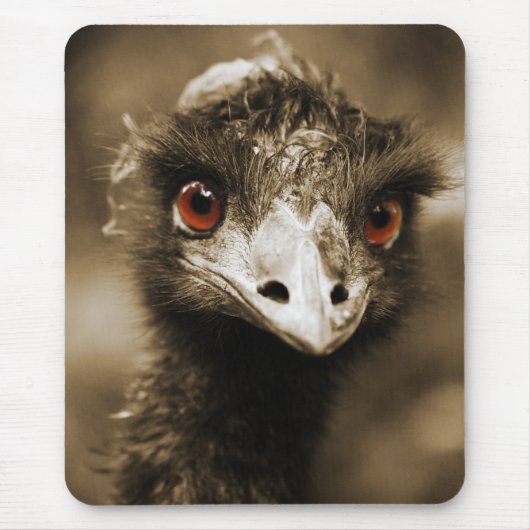 Ostriches Look mousepad (Vorne)