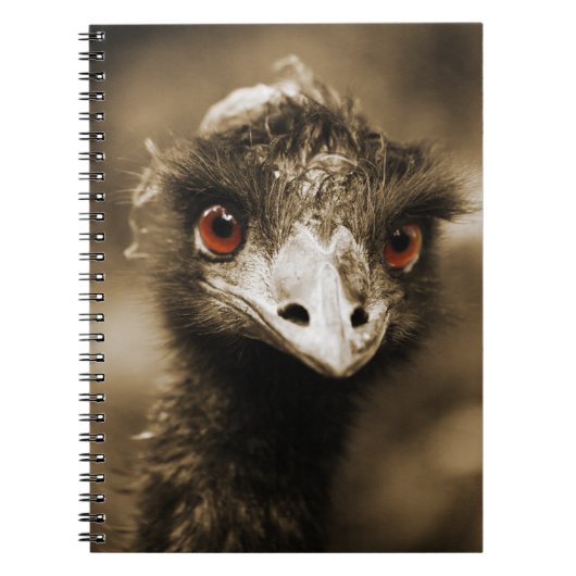 Ostriches Look Notebook Notizblock (Vorderseite)