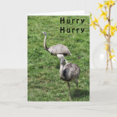 OSTRICHES SAGT GLÜCKLICH **APRIL BIRTHDAY** CARD KARTE (Gelbe Blume)