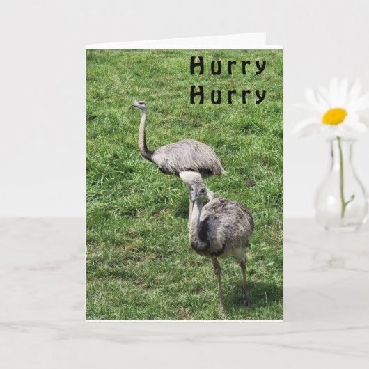 OSTRICHES SAGT GLÜCKLICH **APRIL BIRTHDAY** CARD KARTE (Kleine Pflanze)