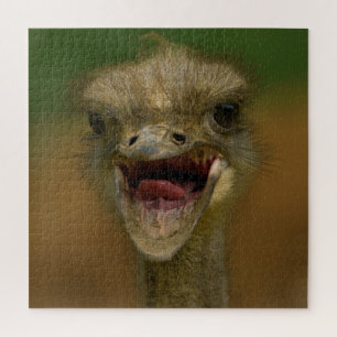 Ostrich's Embrace Puzzle