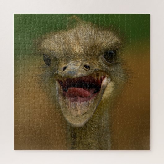 Ostrich's Embrace Puzzle (Vertikal)