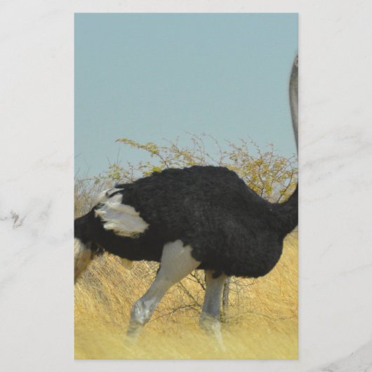 Ostrige für einen Run Briefpapier (Vorderseite)