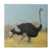 Ostrige für einen Run Fliese (Vorderseite)