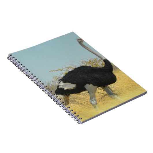 Ostrige für einen Run Notizblock (Rechte Seite)