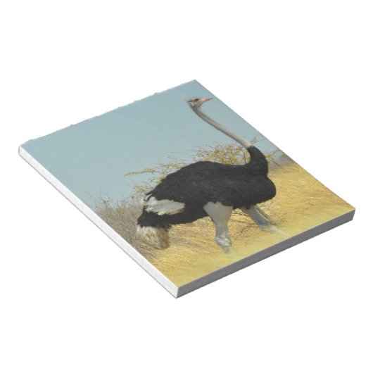 Ostrige für einen Run Notizblock (angewinkelt)