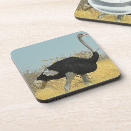 Ostrige für einen Run Untersetzer (Linke Seite)