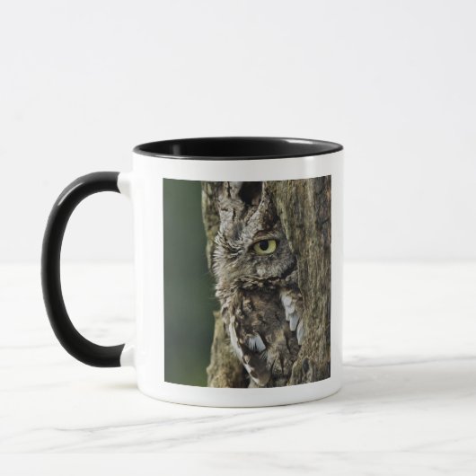 OstSchrei-Eule(graue Phase) Otus Asio Tasse (Links)