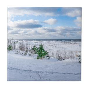 Ostseeküste im Winter schneebedeckt Fliese